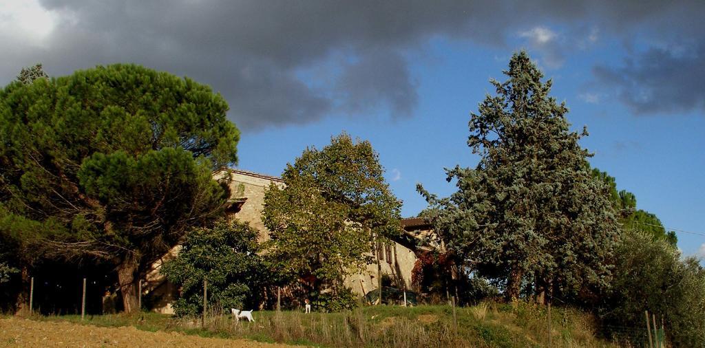 德拉罗萨住宿加早餐旅馆 Civitella D'Arna 外观 照片