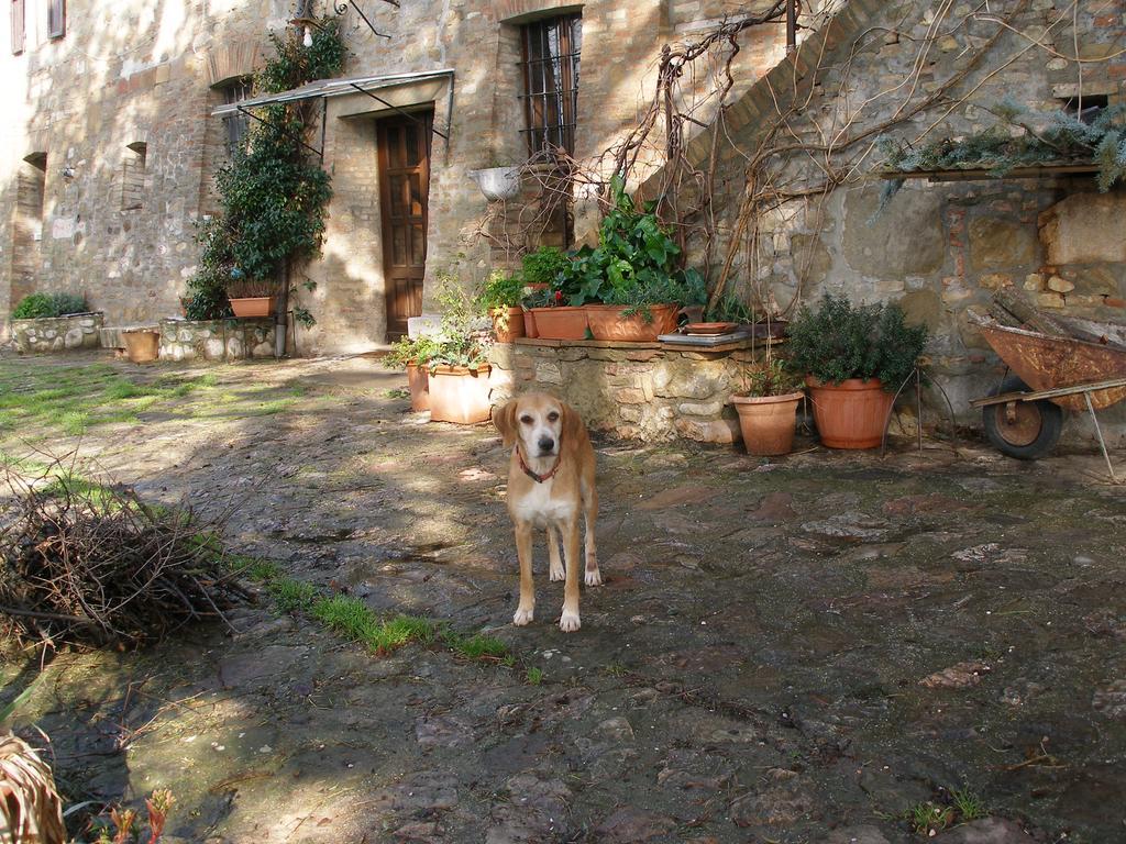 德拉罗萨住宿加早餐旅馆 Civitella D'Arna 外观 照片