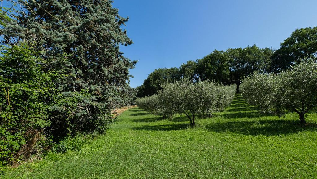 德拉罗萨住宿加早餐旅馆 Civitella D'Arna 外观 照片