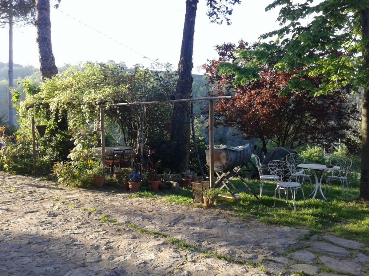 德拉罗萨住宿加早餐旅馆 Civitella D'Arna 外观 照片